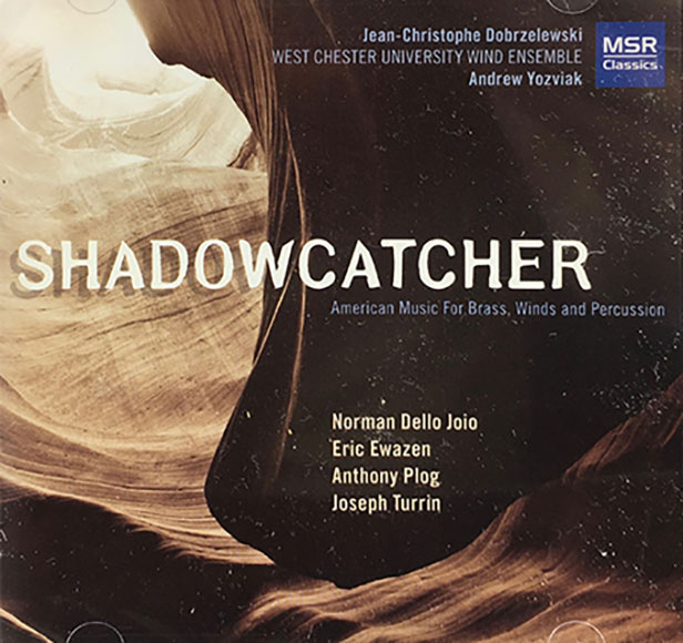 (image for) Jean-Christophe Dobrzelewski: Shadowcatcher